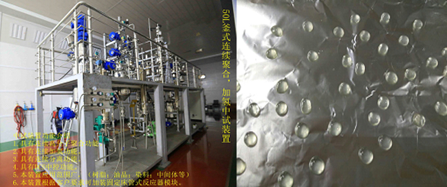 祝賀國(guó)內(nèi)首套釜式連續(xù)加氫中試成套裝置一次出料成功！.jpg